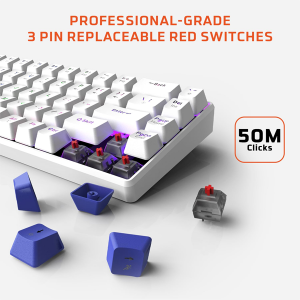 EvoFox Katana S Mini Wired Mechanical Keyboard | Hot-Swappable Silent Red Switches | 68-Key Compact Layout | Vivid Rainbow Backlighting