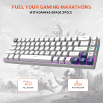 EvoFox Katana S Mini Wired Mechanical Keyboard | Hot-Swappable Silent Red Switches | 68-Key Compact Layout | Vivid Rainbow Backlighting